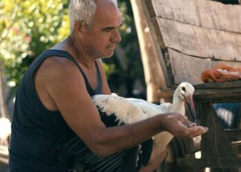 Историски успех за македонскиот документарец: „Приказната за Силјан“ номинирана за две награди „Еми“