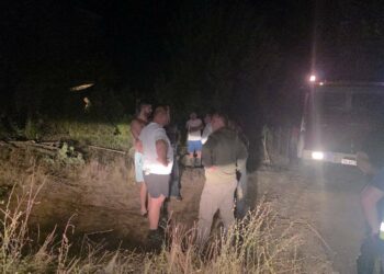 (ВИДЕО) Страшна ноќ во Зелениково: Пожарот бил на чекор од куќите, сите се вклучиле во гаснењето