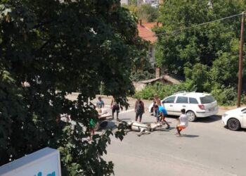 Жештината повторно алармира: Коњ што влечел запрежна кола паднал и угинал среде пладне во Велес