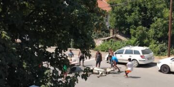 Жештината повторно алармира: Коњ што влечел запрежна кола паднал и угинал среде пладне во Велес