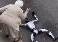 (ВИДЕО) Робот се обиде да ѝ ја украде чантата на баба – бегството заврши урнебесно